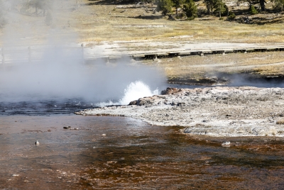 Midway Geyser Basin Yellowstone NP 2024